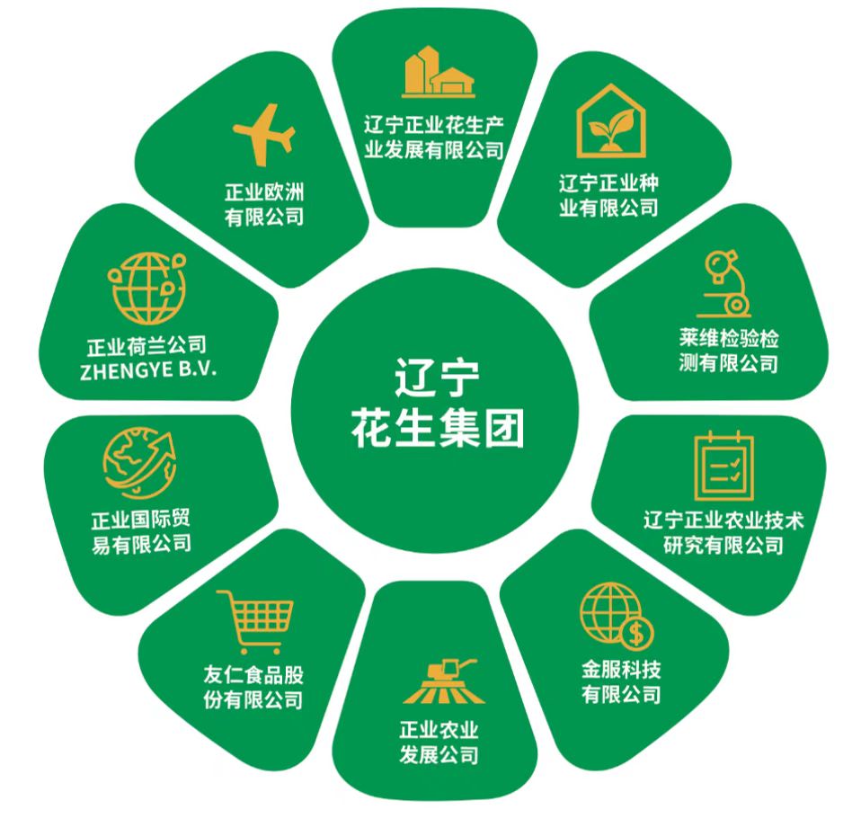 遼寧花生集團(圖2) 遼寧花生集團(圖2)